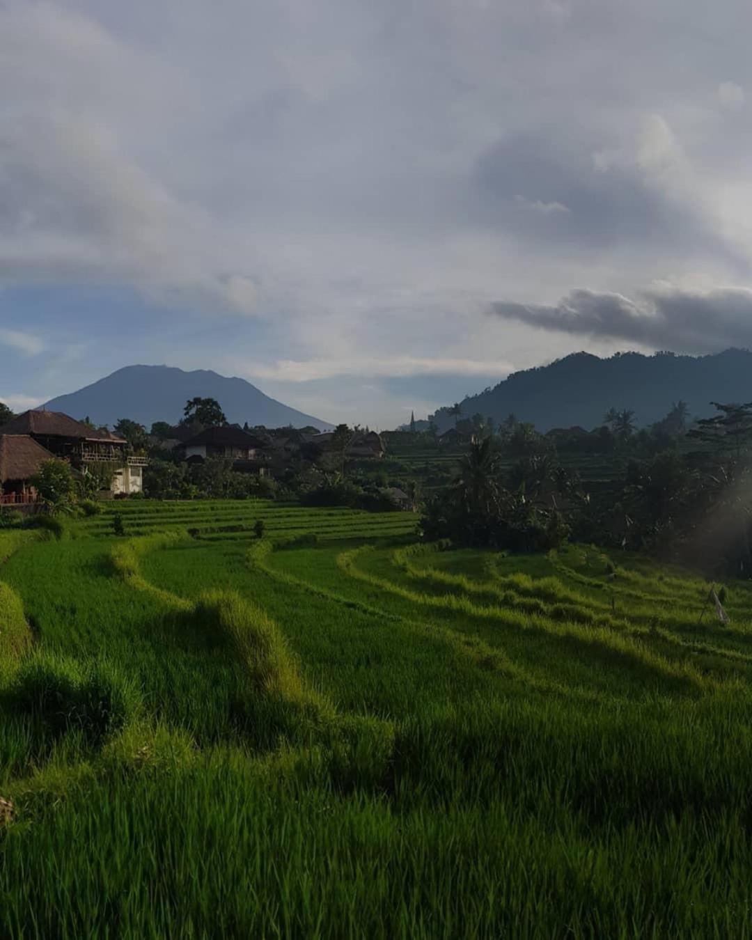 D'Janu Homestay Sidemen  Exterior foto